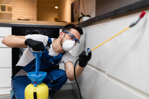 Best Rat Extermination Near Me  in Spring Green, WI