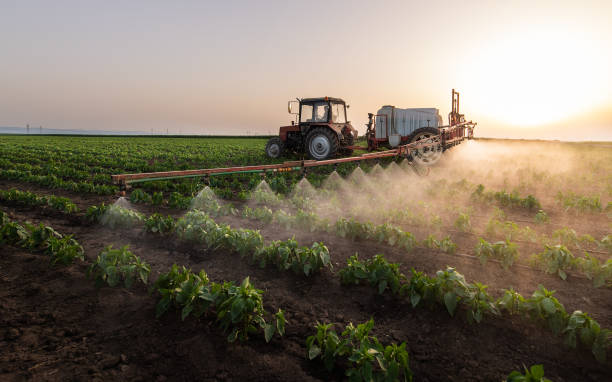 Best Mosquito Control Services  in Spring Green, WI