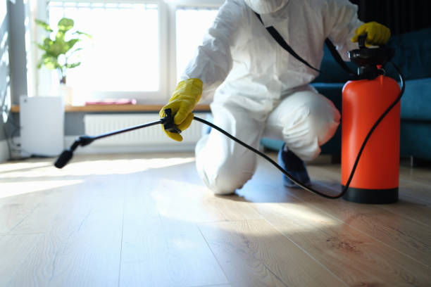 Best Flea Control Services  in Spring Green, WI
