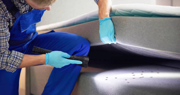 Best Cockroach Control Services  in Spring Green, WI