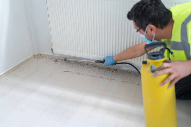 Best Pest Control Near Me  in Spring Green, WI