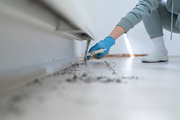 Best Bed Bug Extermination  in Spring Green, WI
