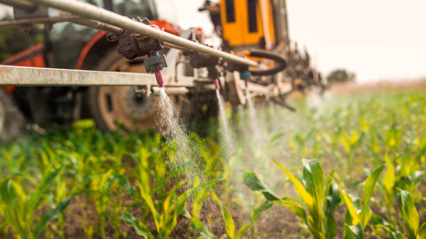 Best Exterminator Services  in Spring Green, WI